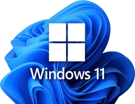 Windows 11