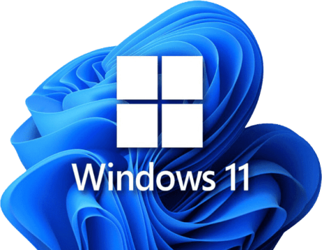 Windows 11