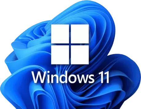 Windows 11